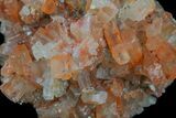 Aragonite Twinned Crystal Cluster - Morocco #59791-2